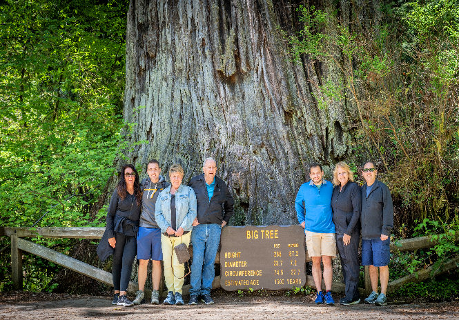 redwood national park-sequoia-tours