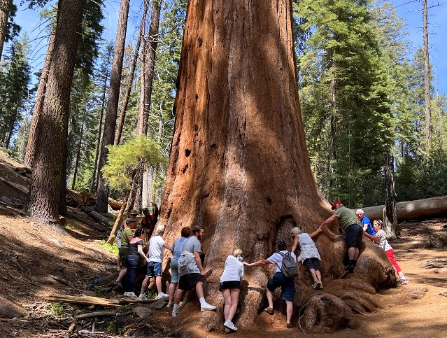 Sequoia-National-Park-Private-Tour-Yosemite-National