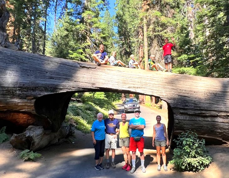 Sequoia-National-Park-Tours-Yosemite-Park-Travel