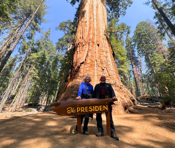 Sequoia-National-Park-Tours-Yosemite