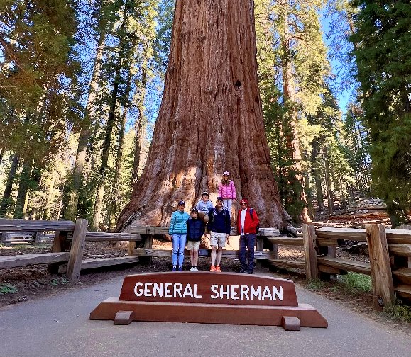 Sequoia-National-Park-Vacaction-Tours