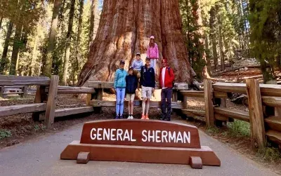 Sequoia National Park ancient giant sequoia grove