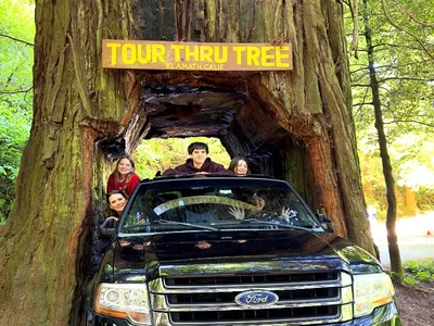 2-Day Private Redwood National Park Getaway