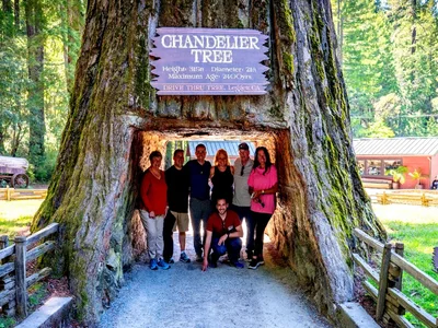 5-Day Redwood National Park Private Escape: Luxury...