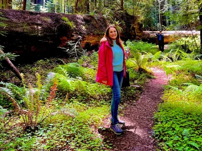 Experience the Legendary Avenue of the Giants Priv...