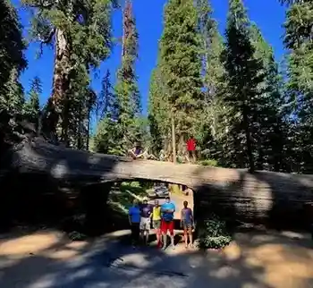 Sequoia & Kings Canyon National Parks: 4-Day Legen...