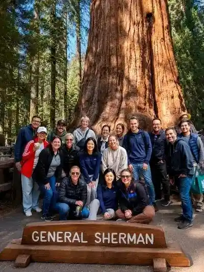 Discover California’s Giants & Wonders: 5-Day Sequ...