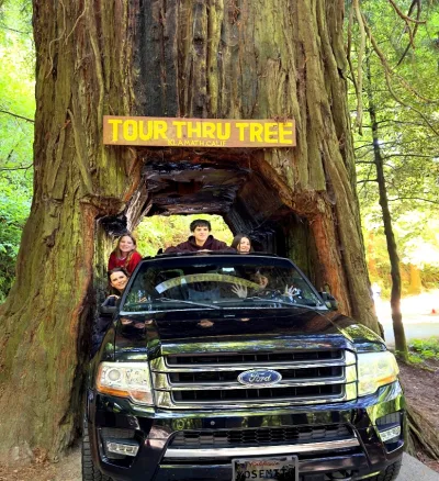 2-Day Private Redwood National Park Getaway