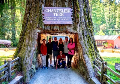 5-Day Redwood National Park Private Escape: Luxury Nature Journey Made Easy