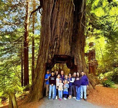 Experience the Ultimate 6-Day Luxury Private Redwood National Park Escape