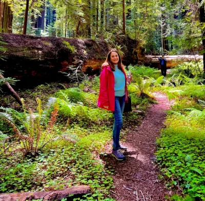 Experience the Legendary Avenue of the Giants Private Luxury Day Tour