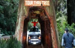 Redwood National Park: 4-Day Vacation Package