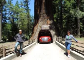 Redwood National Park: 2-Day Private Adventure