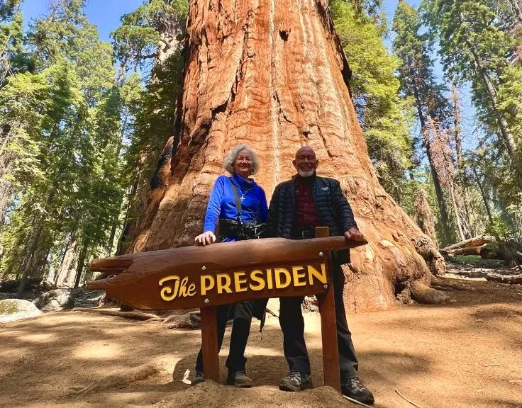 Yosemite and Sequoia National Parks tour