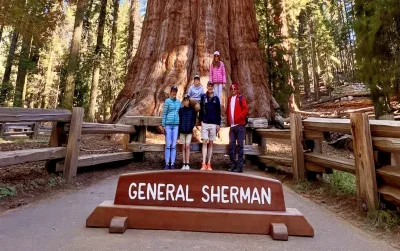 Sequoia National Park ancient giant sequoia grove